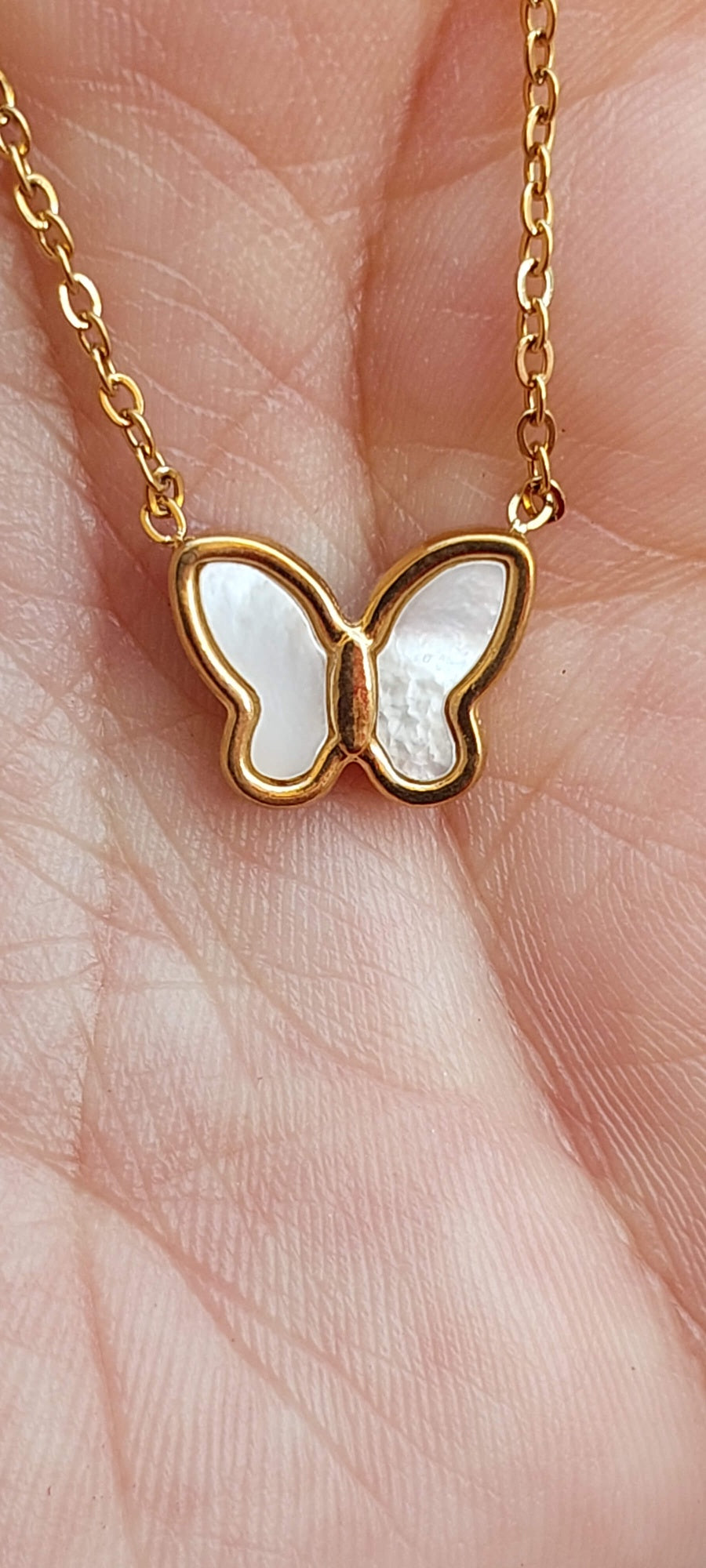 White Butterfly