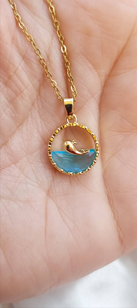 Dolphin 🐬